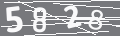 capsa